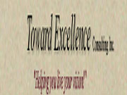 Toward Excellence SE Program